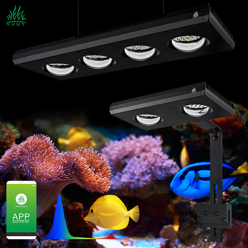 ZXY Hot Sale WEEKAQUA Z250 Z40 - Marine Aquarium App recension och pris