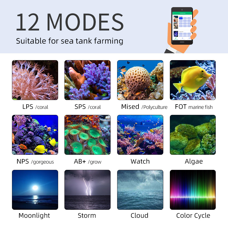 ZXY Hot Sale WEEKAQUA Z250 Z40 - Marine Aquarium App recension och pris