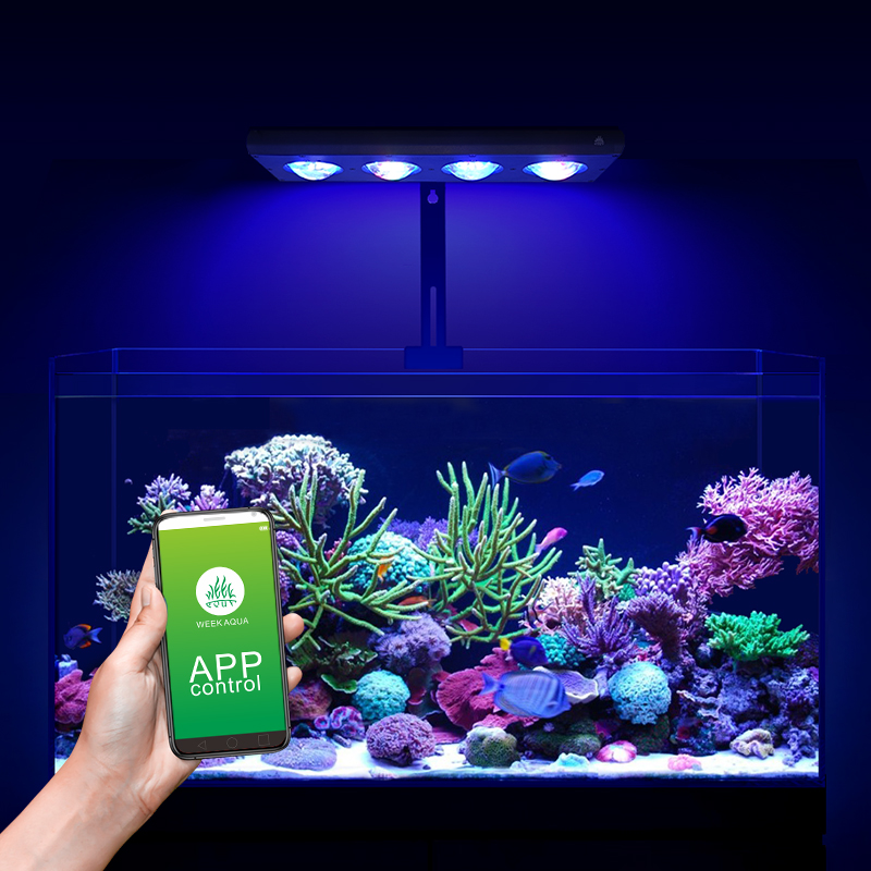 ZXY Hot Sale WEEKAQUA Z250 Z40 - Marine Aquarium App recension och pris