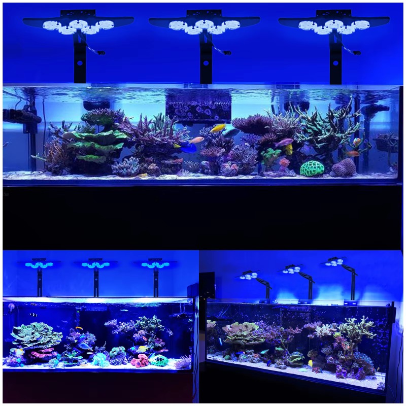 High Brightness Marine LED Fis - Marine Aquarium App recension och pris